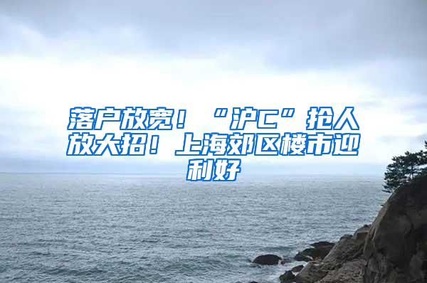 落户放宽！“沪C”抢人放大招！上海郊区楼市迎利好