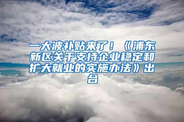 一大波补贴来了！《浦东新区关于支持企业稳定和扩大就业的实施办法》出台