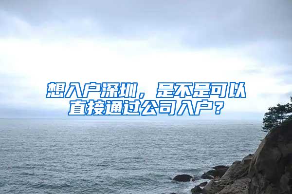 想入户深圳，是不是可以直接通过公司入户？