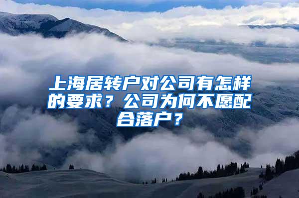 上海居转户对公司有怎样的要求？公司为何不愿配合落户？