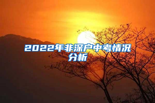 2022年非深户中考情况分析