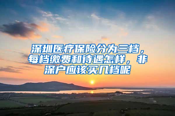 深圳医疗保险分为三档，每档缴费和待遇怎样，非深户应该买几档呢