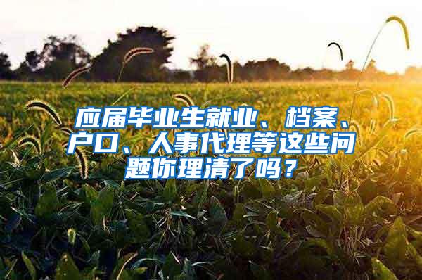 应届毕业生就业、档案、户口、人事代理等这些问题你理清了吗？