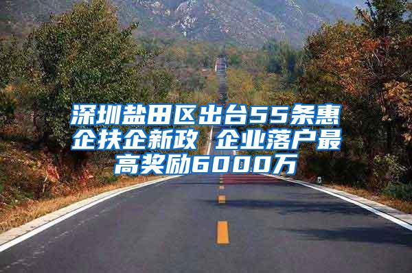 深圳盐田区出台55条惠企扶企新政 企业落户最高奖励6000万