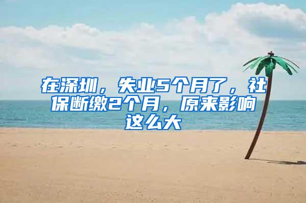 在深圳，失业5个月了，社保断缴2个月，原来影响这么大