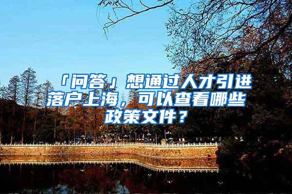 「问答」想通过人才引进落户上海，可以查看哪些政策文件？