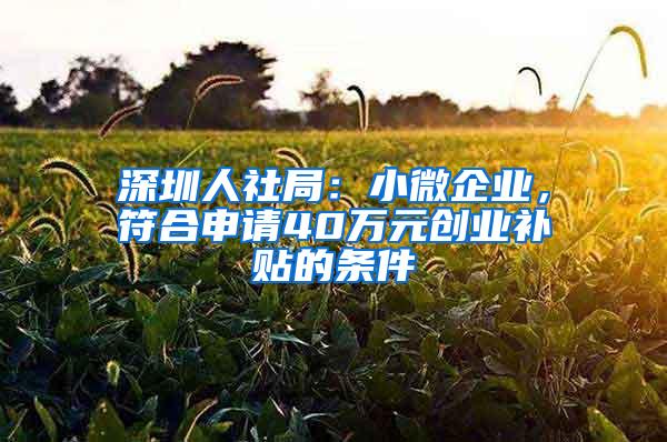 深圳人社局：小微企业，符合申请40万元创业补贴的条件