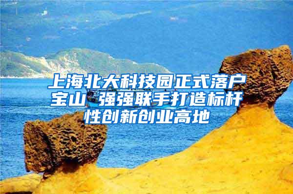 上海北大科技园正式落户宝山 强强联手打造标杆性创新创业高地