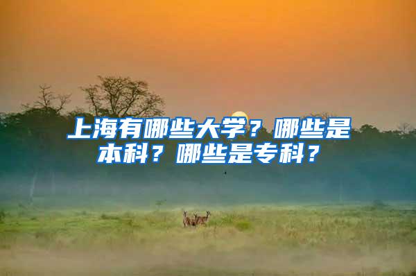 上海有哪些大学？哪些是本科？哪些是专科？