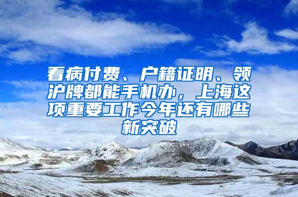 看病付费、户籍证明、领沪牌都能手机办，上海这项重要工作今年还有哪些新突破