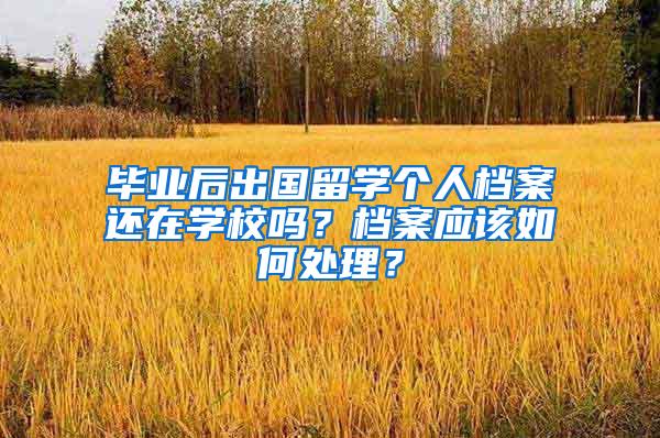 毕业后出国留学个人档案还在学校吗？档案应该如何处理？