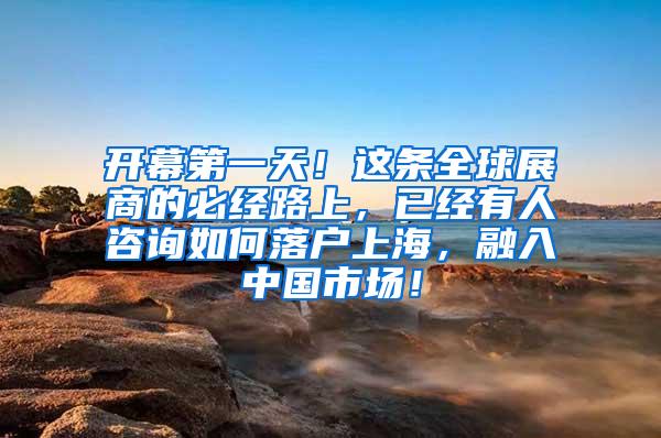 开幕第一天！这条全球展商的必经路上，已经有人咨询如何落户上海，融入中国市场！