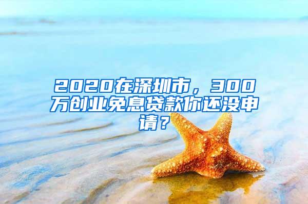 2020在深圳市，300万创业免息贷款你还没申请？