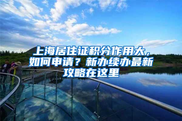 上海居住证积分作用大，如何申请？新办续办最新攻略在这里