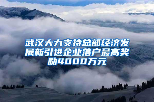 武汉大力支持总部经济发展新引进企业落户最高奖励4000万元