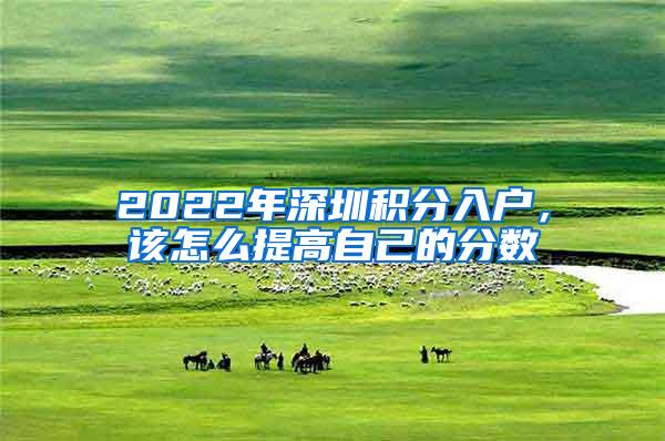 2022年深圳积分入户，该怎么提高自己的分数