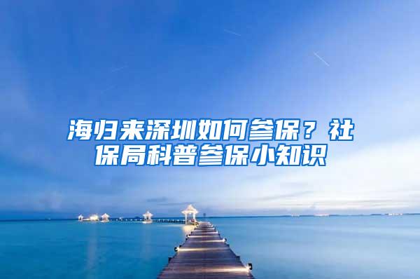 海归来深圳如何参保？社保局科普参保小知识