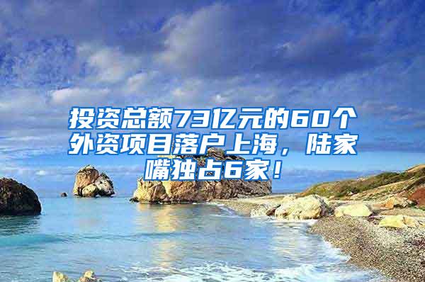 投资总额73亿元的60个外资项目落户上海，陆家嘴独占6家！