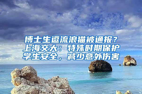 博士生逗流浪猫被通报？上海交大：特殊时期保护学生安全，减少意外伤害