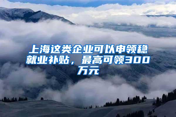 上海这类企业可以申领稳就业补贴，最高可领300万元