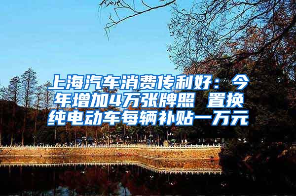 上海汽车消费传利好：今年增加4万张牌照 置换纯电动车每辆补贴一万元