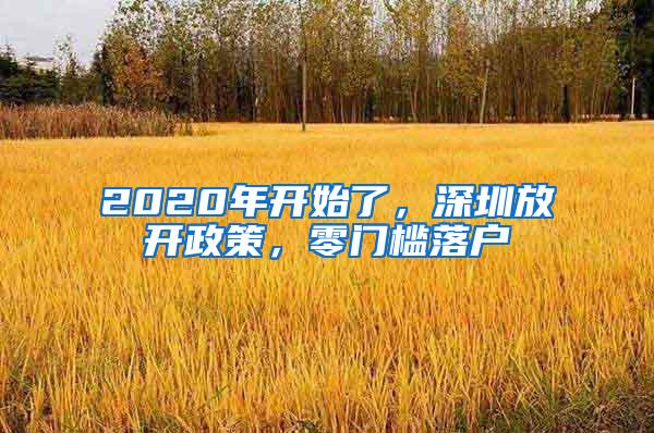 2020年开始了，深圳放开政策，零门槛落户