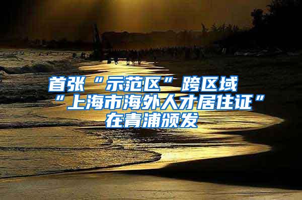 首张“示范区”跨区域“上海市海外人才居住证”在青浦颁发