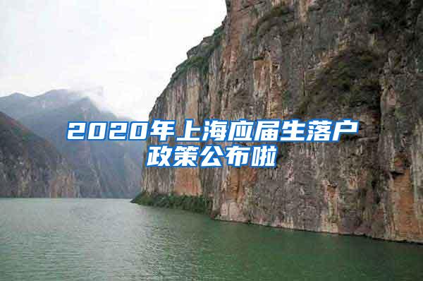 2020年上海应届生落户政策公布啦