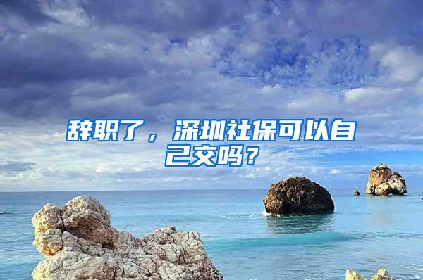 辞职了，深圳社保可以自己交吗？