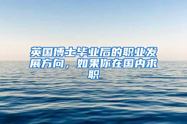 英国博士毕业后的职业发展方向，如果你在国内求职