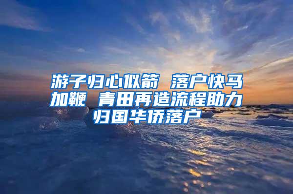 游子归心似箭 落户快马加鞭 青田再造流程助力归国华侨落户