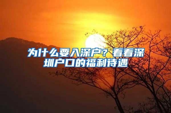 为什么要入深户？看看深圳户口的福利待遇