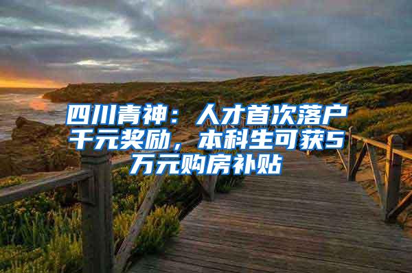 四川青神：人才首次落户千元奖励，本科生可获5万元购房补贴