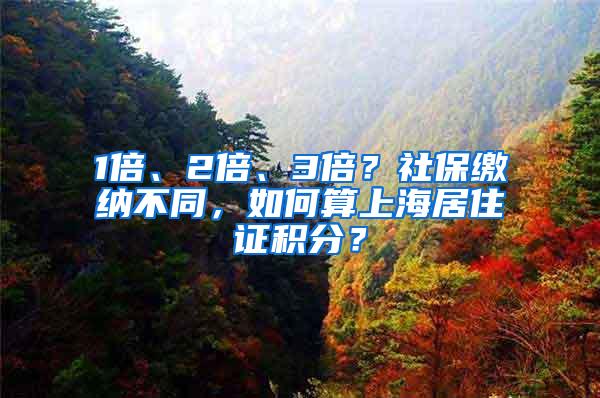 1倍、2倍、3倍？社保缴纳不同，如何算上海居住证积分？