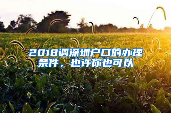 2018调深圳户口的办理条件，也许你也可以