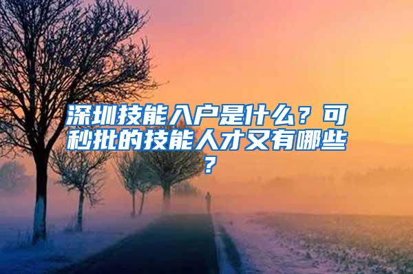 深圳技能入户是什么？可秒批的技能人才又有哪些？