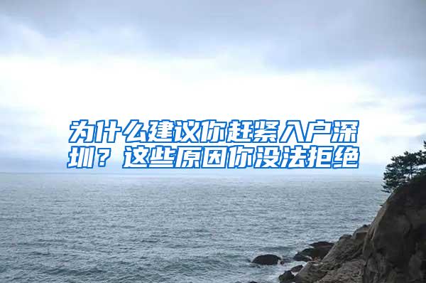 为什么建议你赶紧入户深圳？这些原因你没法拒绝