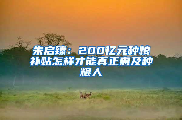 朱启臻：200亿元种粮补贴怎样才能真正惠及种粮人