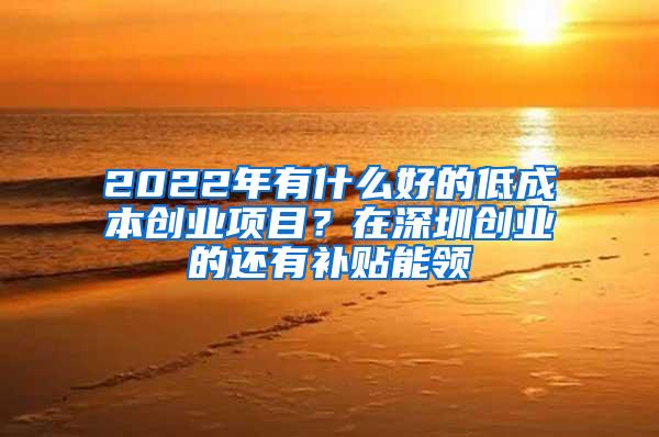 2022年有什么好的低成本创业项目？在深圳创业的还有补贴能领