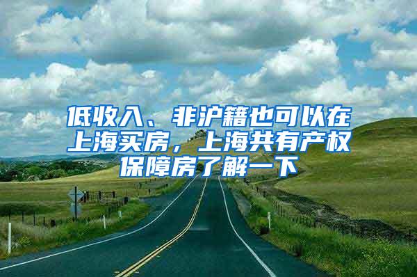 低收入、非沪籍也可以在上海买房，上海共有产权保障房了解一下