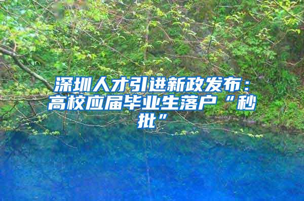 深圳人才引进新政发布：高校应届毕业生落户“秒批”