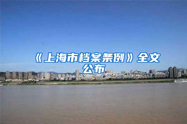 《上海市档案条例》全文公布