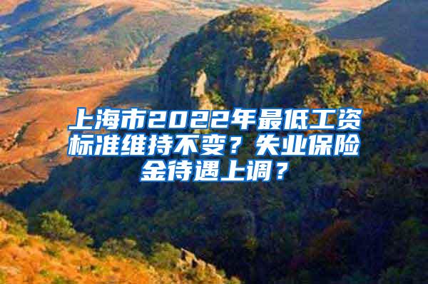 上海市2022年最低工资标准维持不变？失业保险金待遇上调？