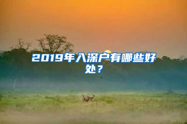 2019年入深户有哪些好处？