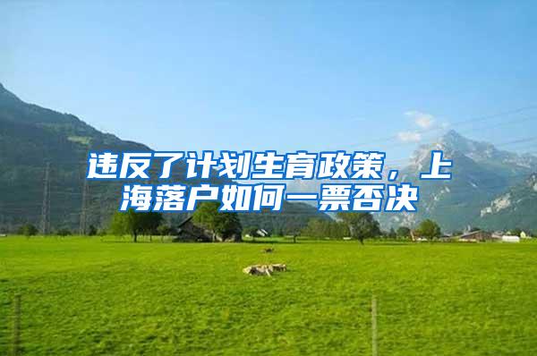 违反了计划生育政策，上海落户如何一票否决