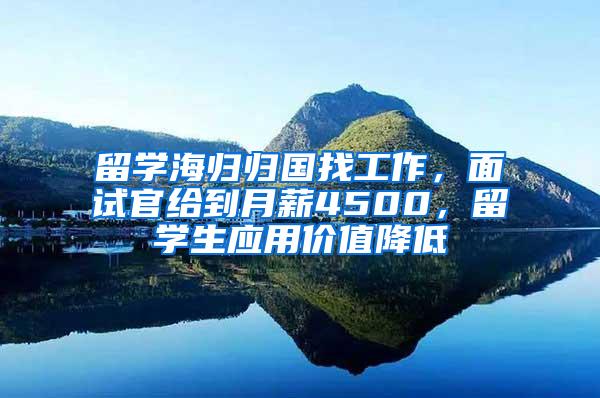 留学海归归国找工作，面试官给到月薪4500，留学生应用价值降低