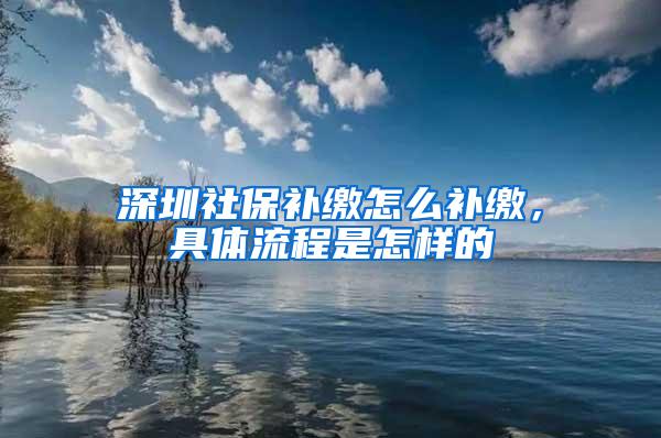 深圳社保补缴怎么补缴，具体流程是怎样的