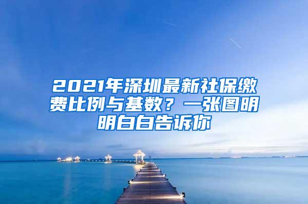 2021年深圳最新社保缴费比例与基数？一张图明明白白告诉你