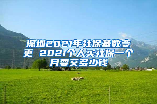 深圳2021年社保基数变更 2021个人买社保一个月要交多少钱