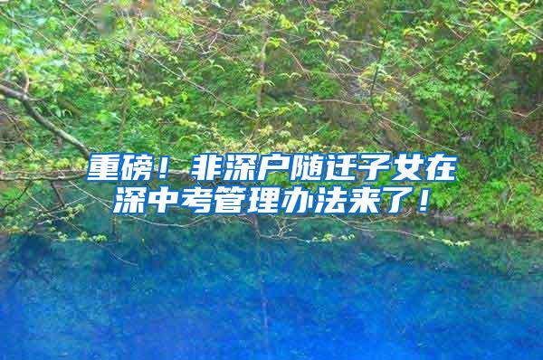 重磅！非深户随迁子女在深中考管理办法来了！